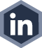 LinkedIn Button